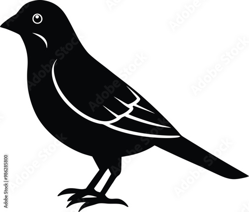 A beautiful Canary silhouette vector art illustration design with no background, canary pure black icon and logo for printable, drawing animal of canary bird.