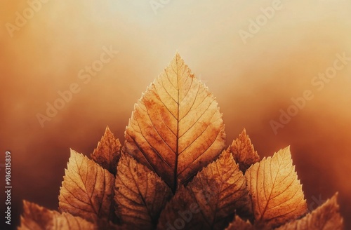 Golden autumn leaves resting against a vibrant yellow backdrop during the fal...