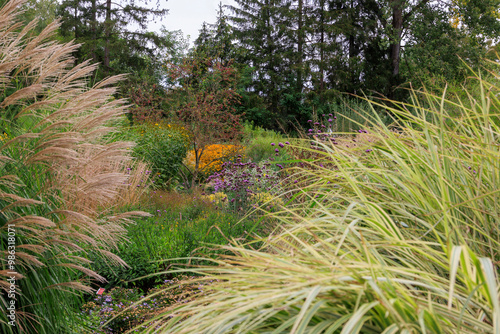 Fotografie View of a landscaped garden densely overgrown with grasses and ornamental shrubs