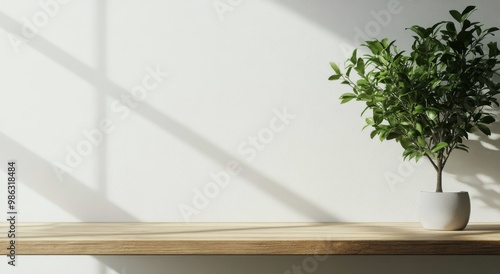 Modern minimalist interior with plants and sunlight creating serene atmospher...