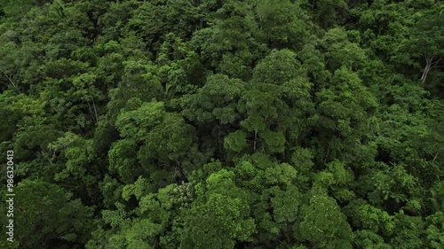 Aerial view of a vibrant tropical rainforest in Central America, showcasing a rich tapestry of lush greenery and diverse ecosystems.