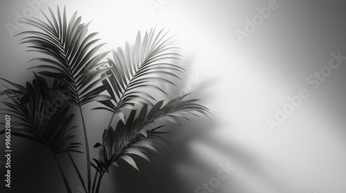 Lush green palm leaves framing a serene, sandy backdrop in natural light