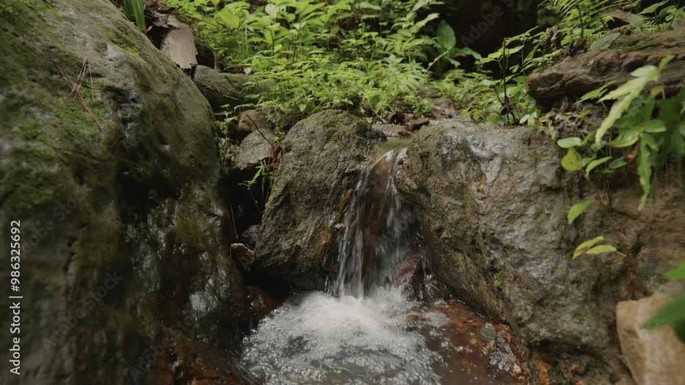 Crystal-clear water flowing through a lush tropical forest in Central America. Crystal-clear water flowing through a lush tropical forest in Central America.