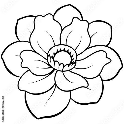 Line art of a anemone flower. Vector illustration 
