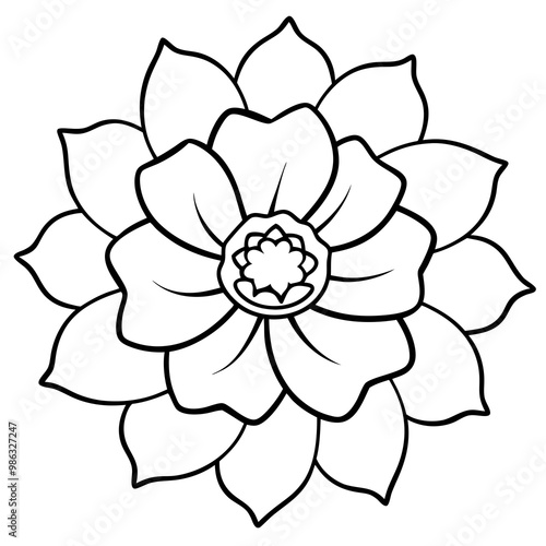 Line art of a anemone flower. Vector illustration 

