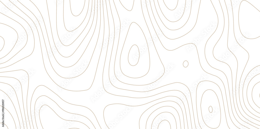 Abstract wave paper curved reliefs background .gradient multicolor wave curve lines banner background design .topographic contours map background .Vector geographic contour map. Abstract wave paper curved reliefs background .gradient multicolor wave curve lines banner background design .topographic contours map background .Vector geographic contour map.
