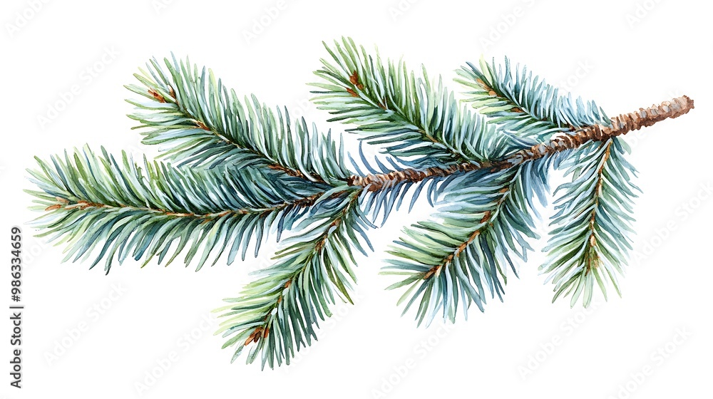 A detailed illustration of a pine branch showcasing its green needles and natural texture. A detailed illustration of a pine branch showcasing its green needles and natural texture.