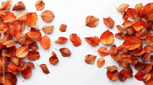 Colorful autumn leaves scattered across a white surface, showcasing shades of...