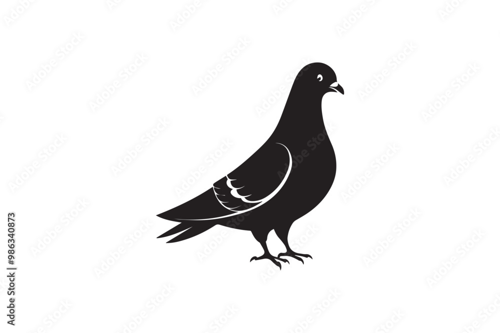 Obraz premium Rock Pigeon silhouette vector illustration, Rock Pigeon silhouette vector, Rock Pigeon PNG.