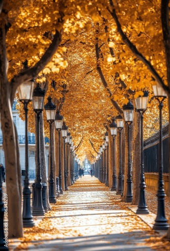 Enchanting autumn pathway lined with golden trees and vintage lamps in a quie...