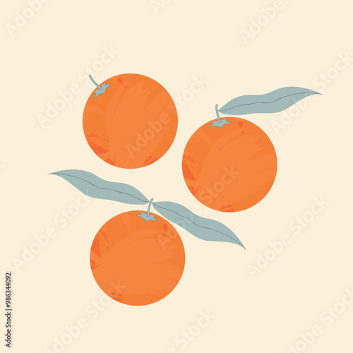 Modern abstract composition of orange fruits. Vector illustration.