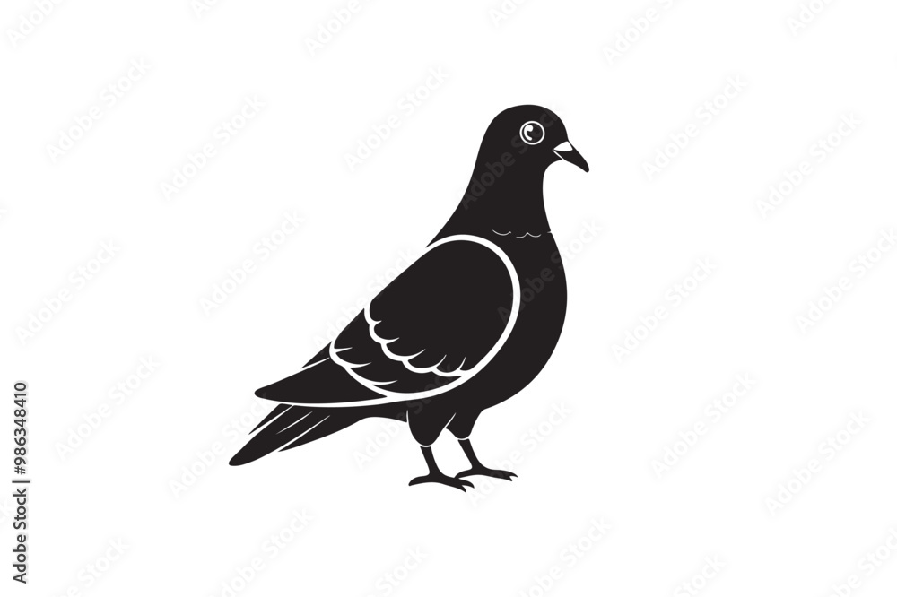 Rock Pigeon silhouette vector illustration, Rock Pigeon silhouette vector, Rock Pigeon PNG. Rock Pigeon silhouette vector illustration, Rock Pigeon silhouette vector, Rock Pigeon PNG.