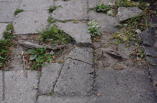 Damaged sidewalk with concrete blocks - the tree root grew under the pavement, damaging it. photo