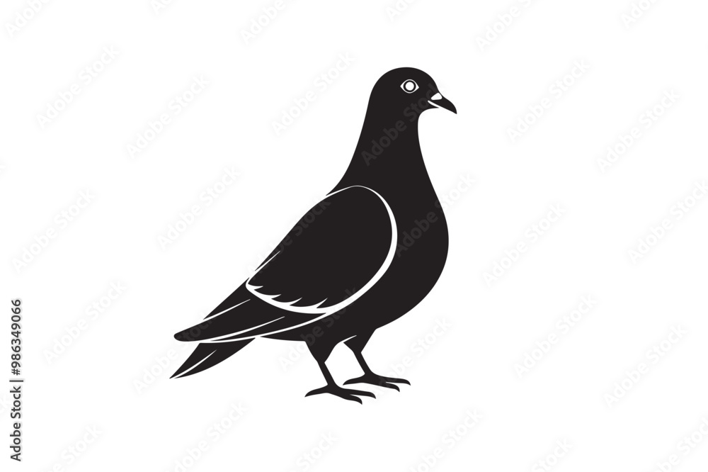 Obraz premium Rock Pigeon silhouette vector illustration, Rock Pigeon silhouette vector, Rock Pigeon PNG.