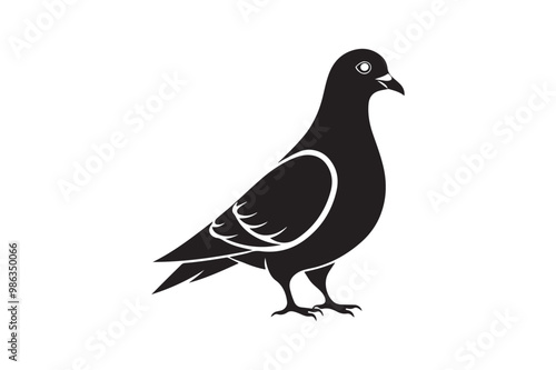 Rock Pigeon silhouette vector illustration, Rock Pigeon silhouette vector, Rock Pigeon PNG.