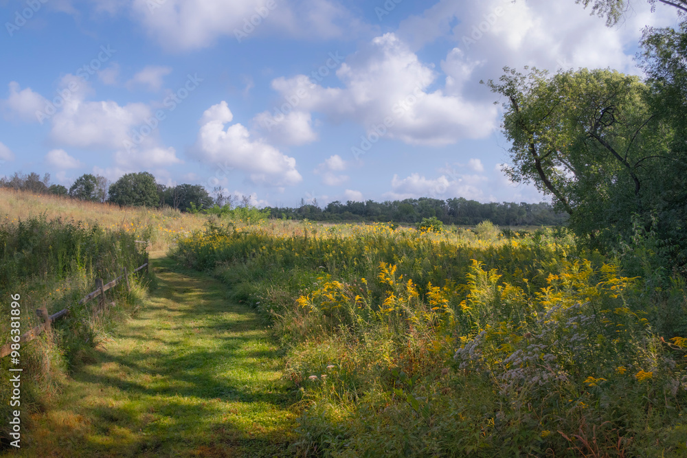 Winding woodland path leading to open prairie with enormous clouds Winding woodland path leading to open prairie with enormous clouds