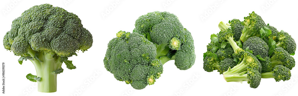 Fresh green broccoli set, isolated Png, transparent without background. Fresh green broccoli set, isolated Png, transparent without background.