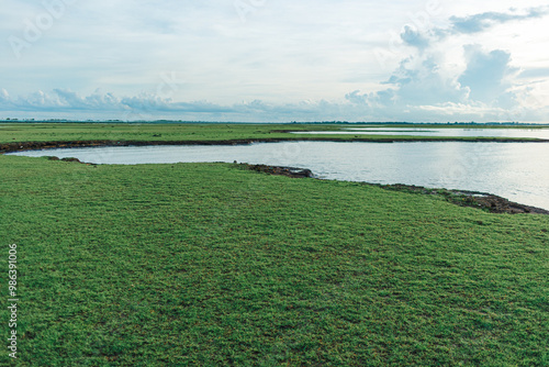 Landscape of marshes wetland of Thale Noi in Phatthalung, Thailand. photo