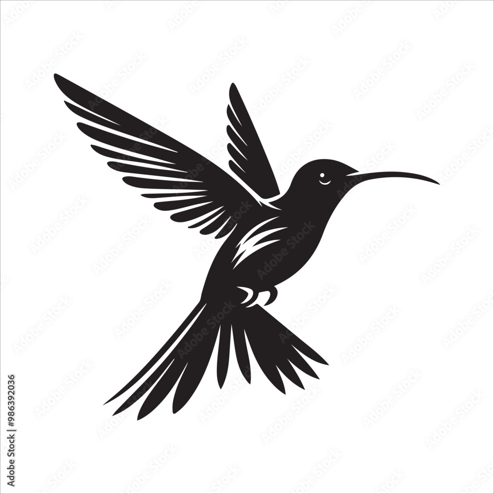 Fototapeta premium Humming bird Vector Art Illustration