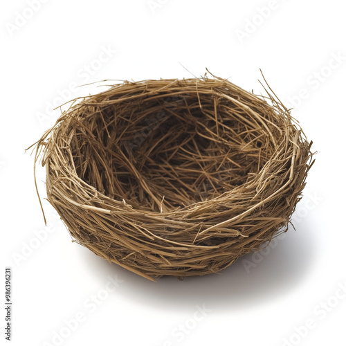 Empty Nest Isolated
