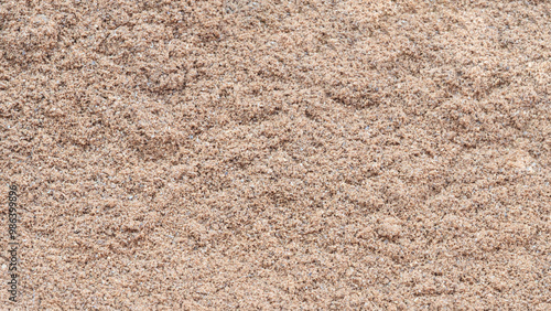 Wallpaper Mural A sandy surface with a few small rocks scattered about. The surface is a mix of sand and dirt, and the rocks are of varying sizes Torontodigital.ca