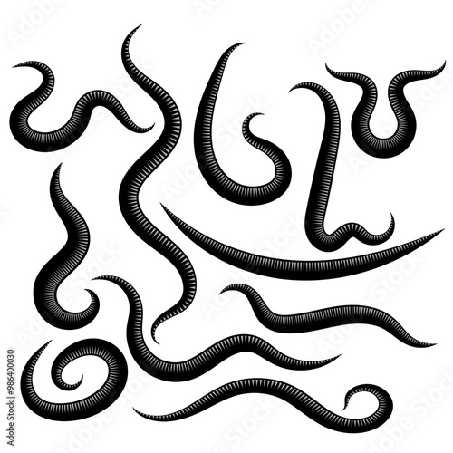 Vector Ascarid, Helminth, Pinworm, Threadworm. Set of Parasite Isolated on White Background.