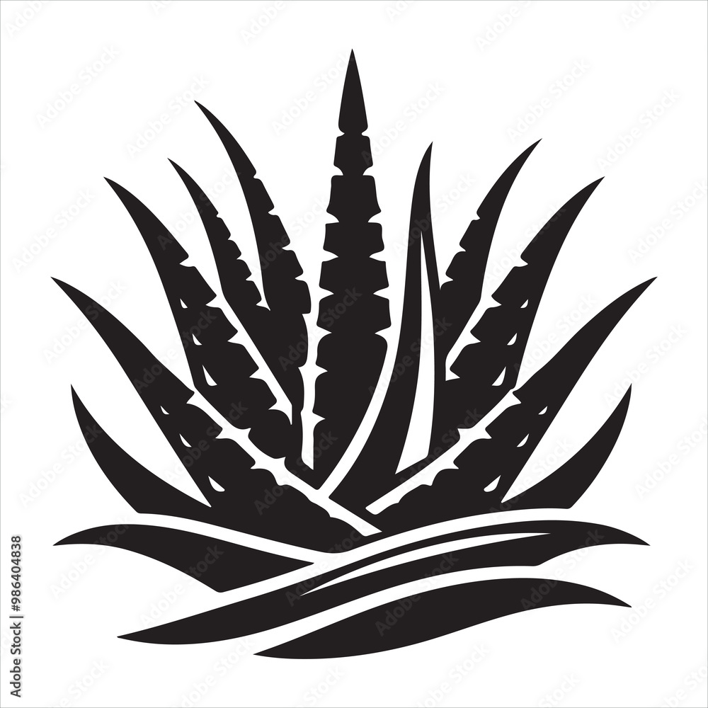 Aloe vera icon silhouette on white background
Aloe vera icon silhouette on white background