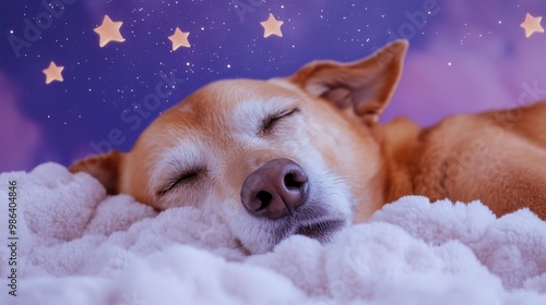 Peaceful Dog Sleeping on Fluffy Blanket Under Starry Sky, Dreamy Nighttime Scene with Adorable Pet, Cozy and Serene Atmosphere, Perfect for Pet Lovers and Animal-Themed Projects photo