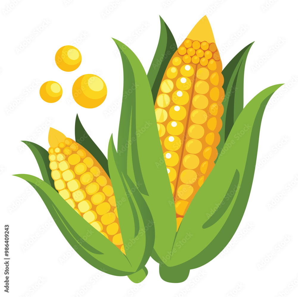 Obraz premium orn hand drawn vector illustration set. Isolated Vegetable engraved style object