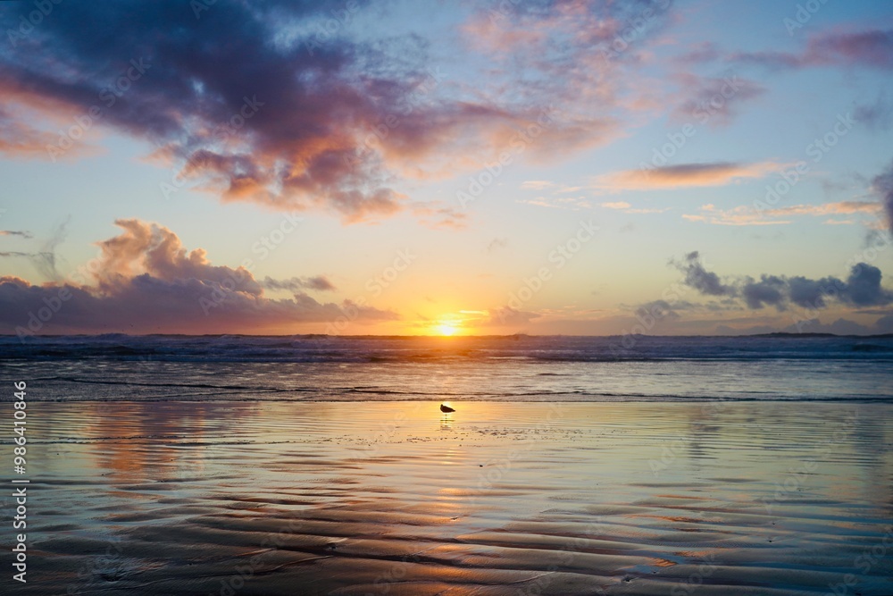 Fototapeta premium Sunset at Ocean Beach