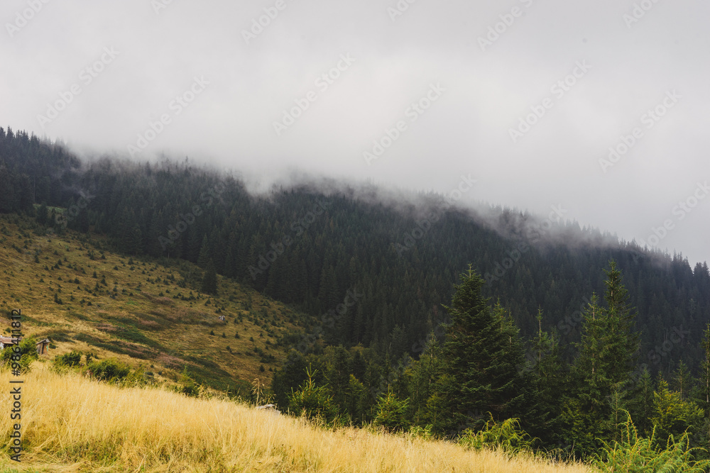 landscape meadow in the fog, forest and mountains in the clouds, autumn colors, yellow tones, burnt grass, beauty of nature, poster, postcard, screen saver, wallpaper polony Yavirnyk, Carpathians