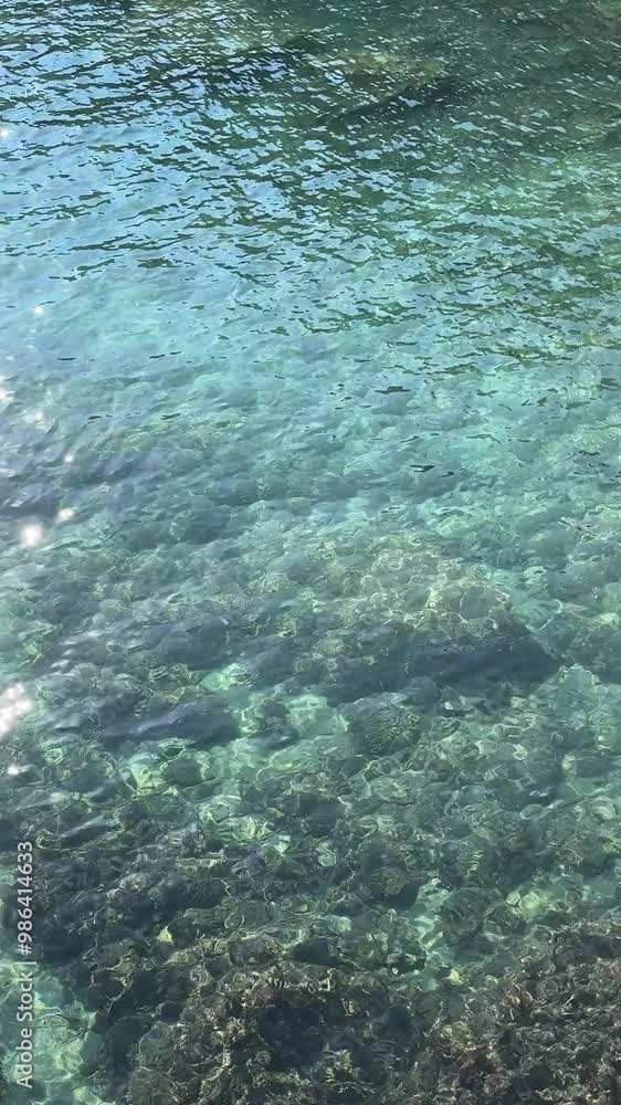Clear ocean water beautiful seascape, vertical video. Clear ocean water beautiful seascape, vertical video.