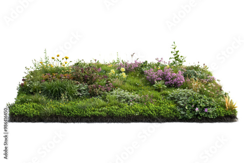 Vegetated green roof with flowering plants, sustainable urban design, ,Isolated on transparent background photo