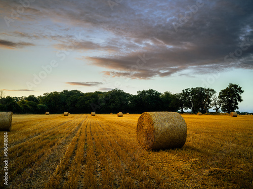 Fields of Circular Hay Bales in the Suffolk Countryside