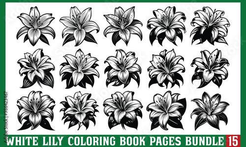 White Lily Coloring Book Pages Design, Artistic hand-drawn vector illustration on white background, Perfect for coloring books, t-shirt prints and line art.