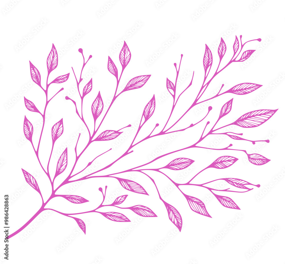 pink Sakura branch isolated on white, pink branch of aakura pink Sakura branch isolated on white, pink branch of aakura