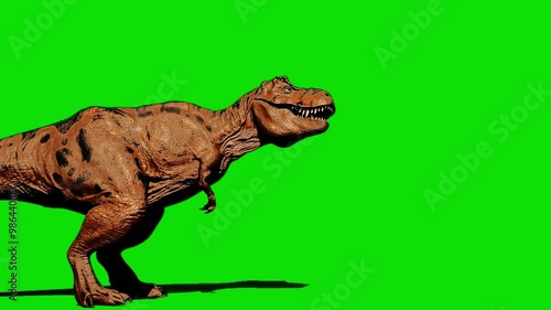 tyrannosaurus rex dinosaur illustration