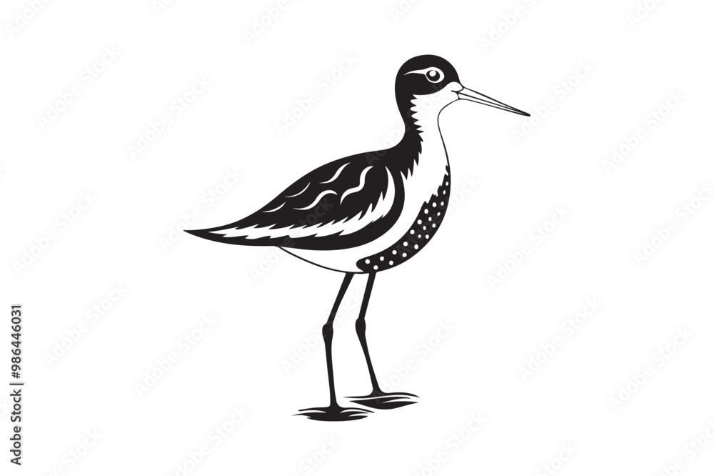 Obraz premium Sandpiper silhouette vector illustration, Sandpiper silhouette vector, Sandpiper silhouette PNG.