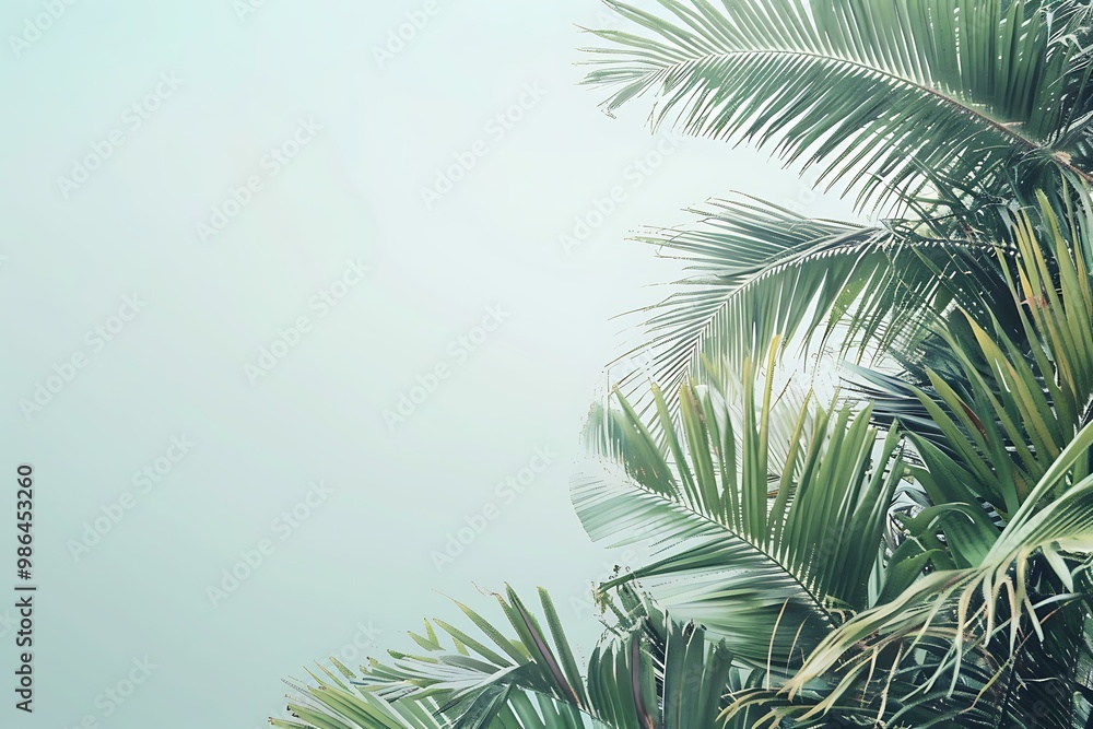 Fototapeta premium Green Palm Leaves Against a Light Blue Sky