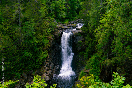 waterfall in the forest