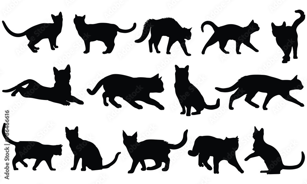 Obraz premium Vector silhouette of a cat on a white background