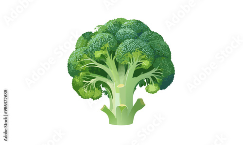 broccoli