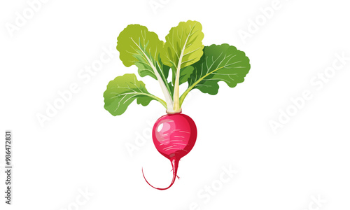 radish