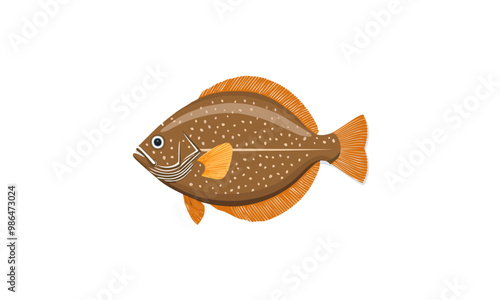 flounder