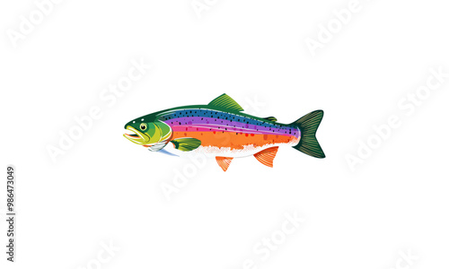 rainbow trout