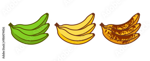 Banana ripeness fruit illustration green mature bad food. Banana ripe vector icon