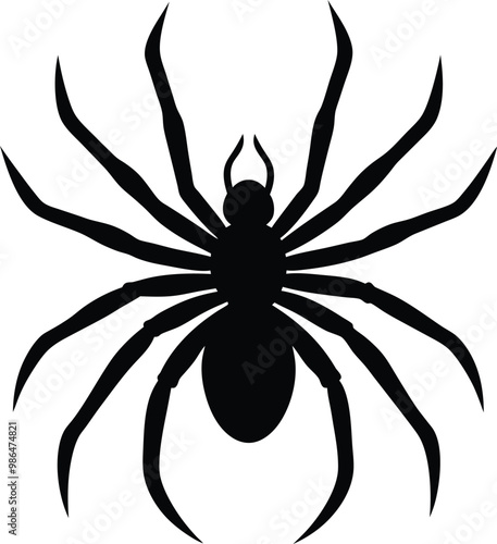 spider silhouette vector