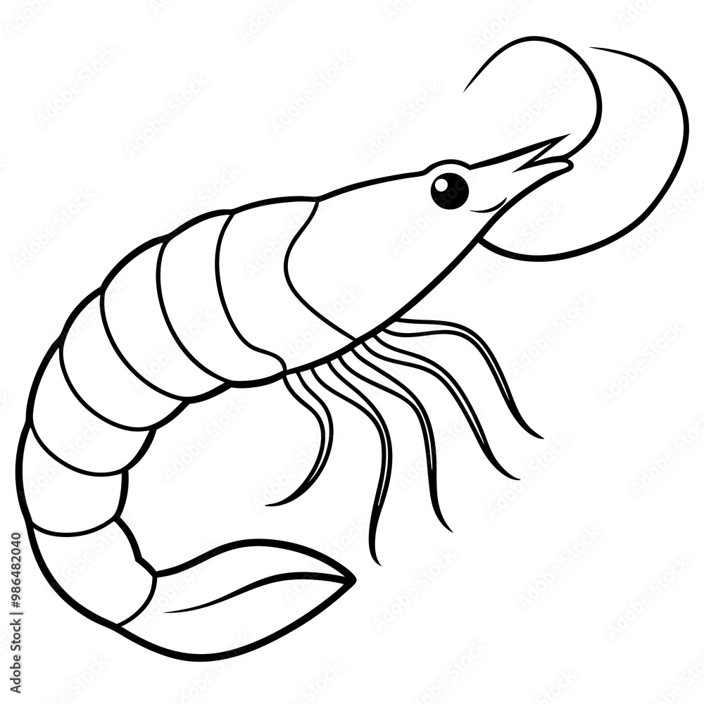 Curled Shrimp Line Art Vector