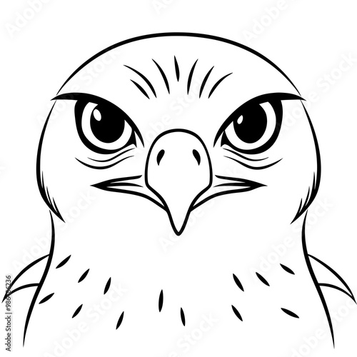 Hawk's Intense Gaze A Vector Art Close-Up