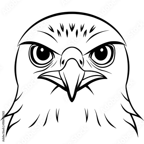 Hawk's Intense Gaze A Vector Art Close-Up